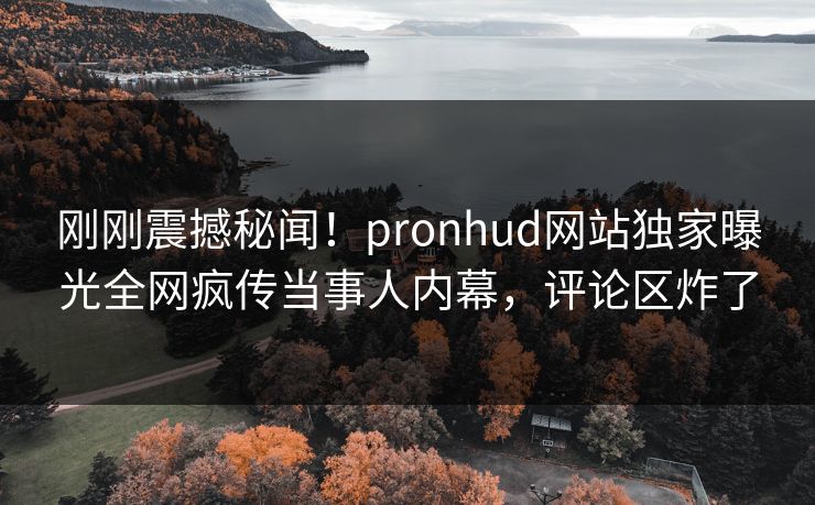 刚刚震撼秘闻！pronhud网站独家曝光全网疯传当事人内幕，评论区炸了