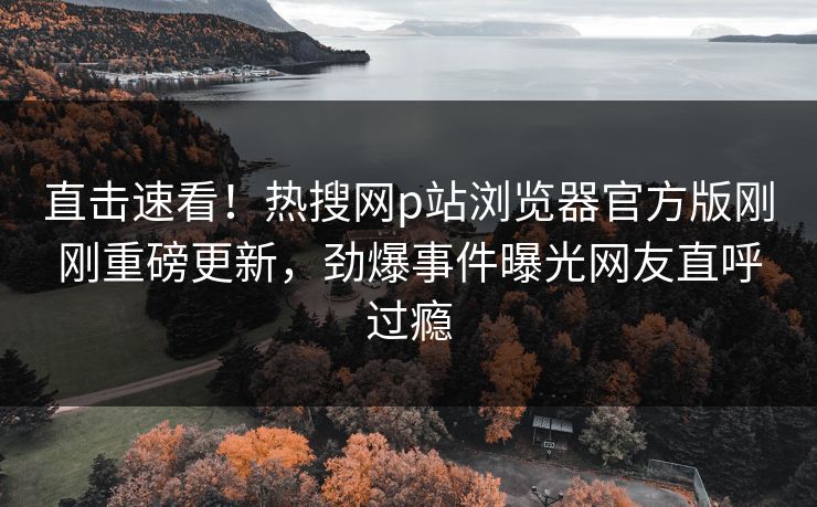 直击速看！热搜网p站浏览器官方版刚刚重磅更新，劲爆事件曝光网友直呼过瘾