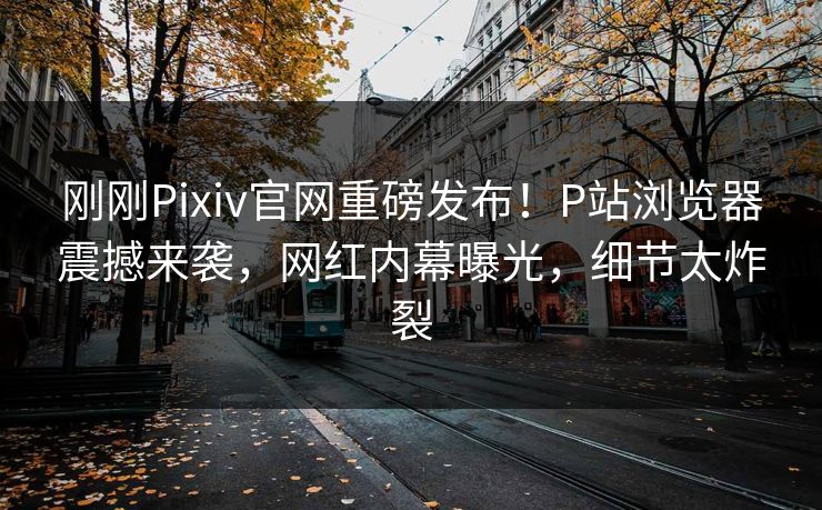 刚刚Pixiv官网重磅发布！P站浏览器震撼来袭，网红内幕曝光，细节太炸裂