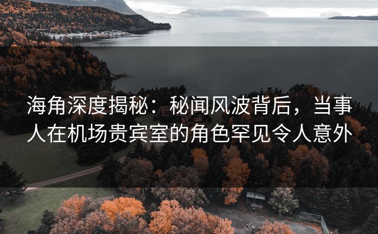 海角深度揭秘：秘闻风波背后，当事人在机场贵宾室的角色罕见令人意外