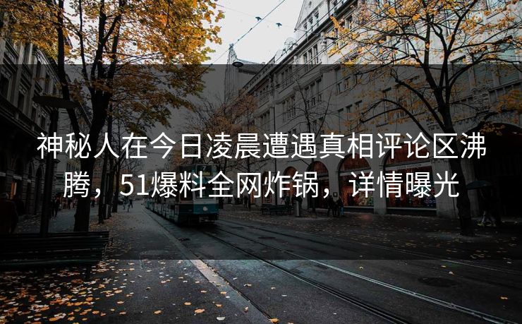 神秘人在今日凌晨遭遇真相评论区沸腾，51爆料全网炸锅，详情曝光
