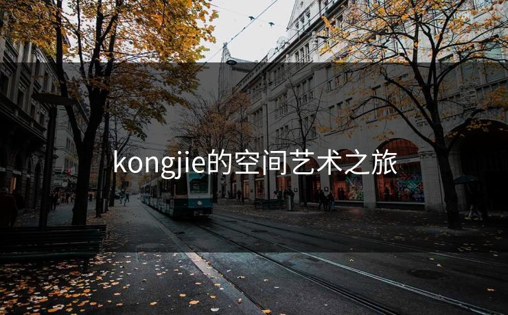 kongjie的空间艺术之旅