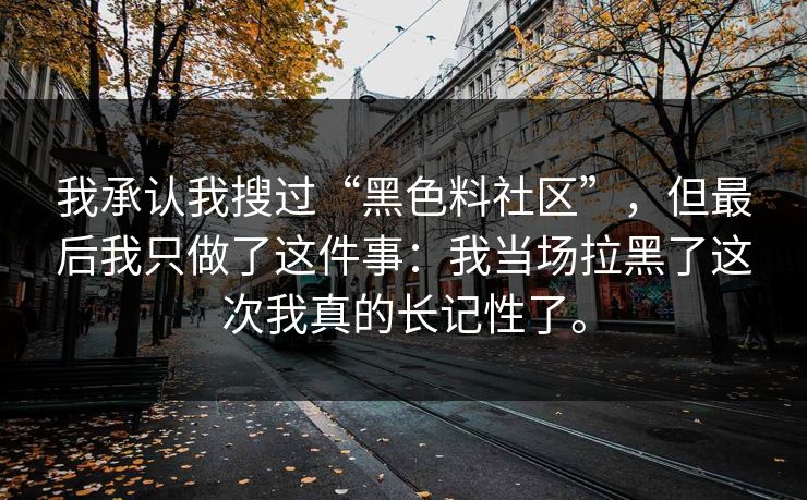 我承认我搜过“黑色料社区”，但最后我只做了这件事：我当场拉黑了这次我真的长记性了。