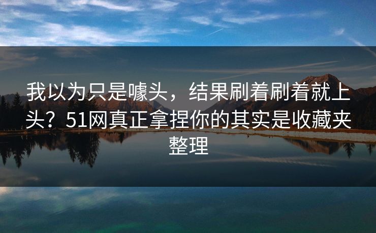 我以为只是噱头，结果刷着刷着就上头？51网真正拿捏你的其实是收藏夹整理